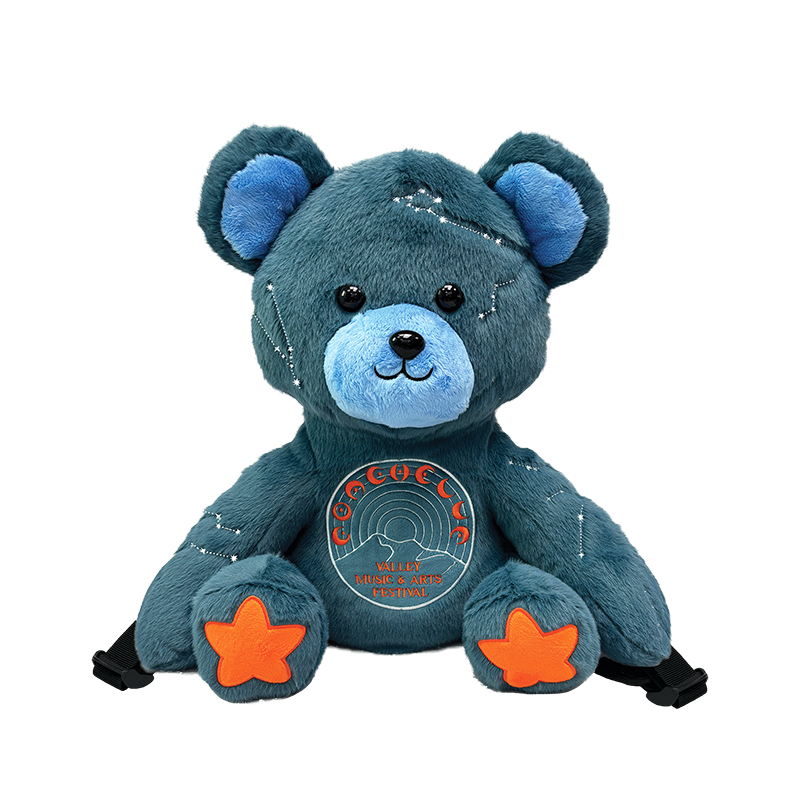 Stargazer Teddy Backpack – Coachella Store