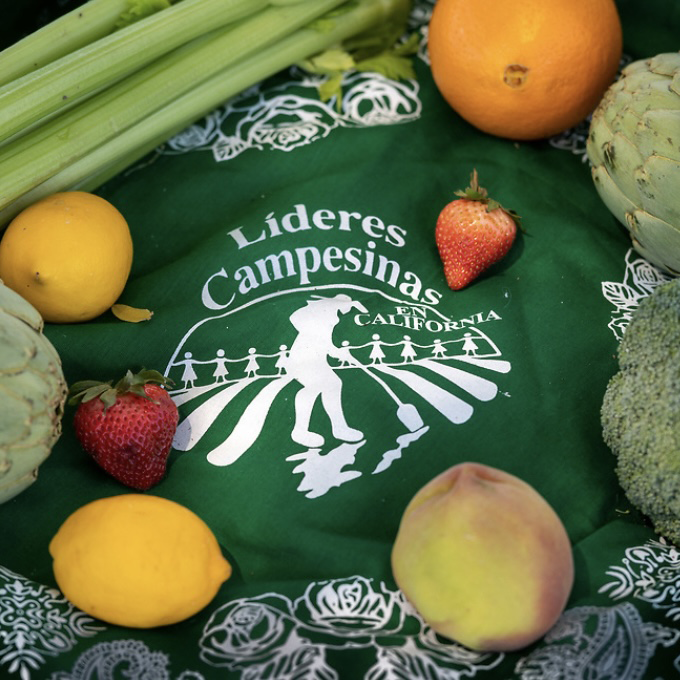 Fruit Sticker Tee