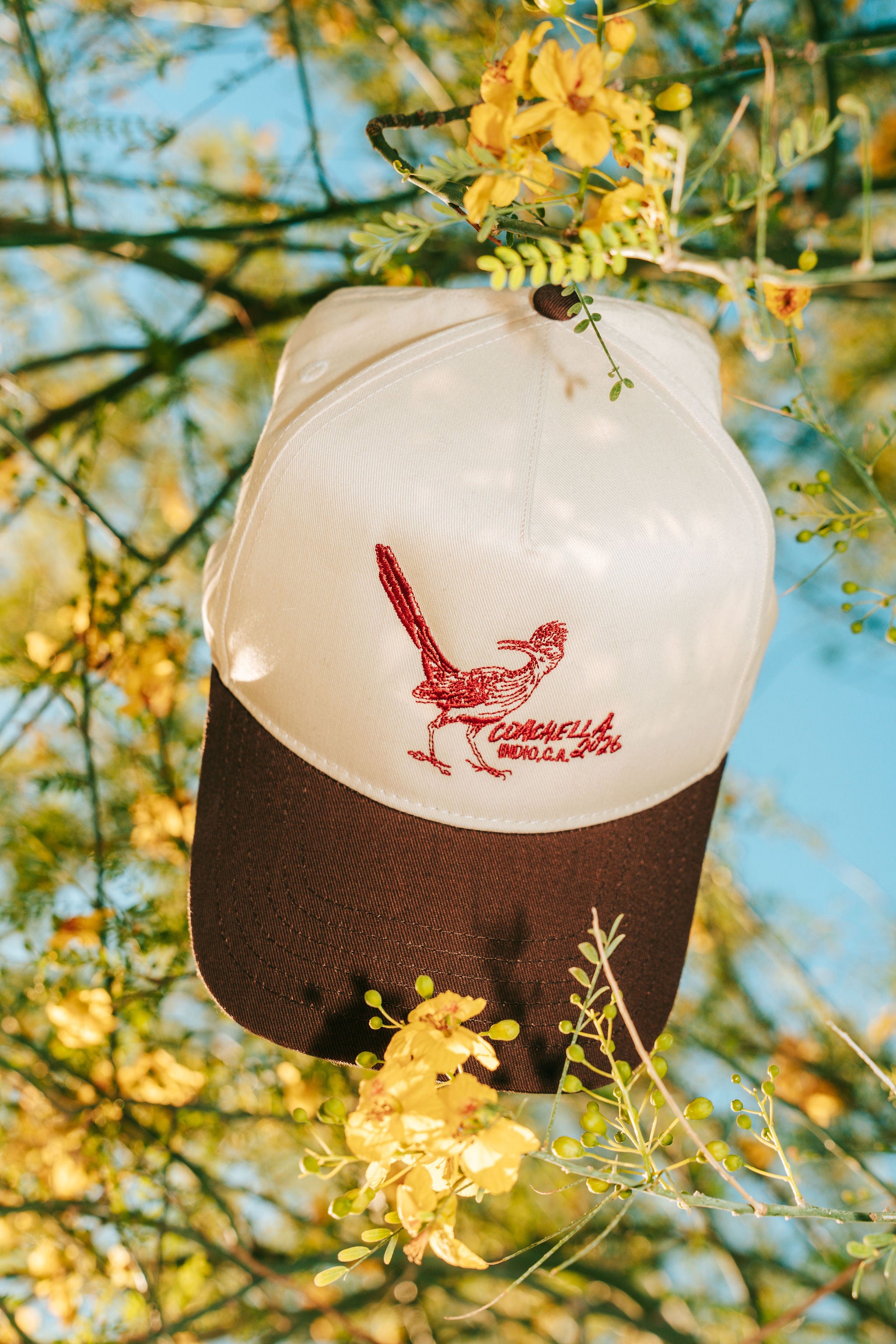 Hats – Coachella Store