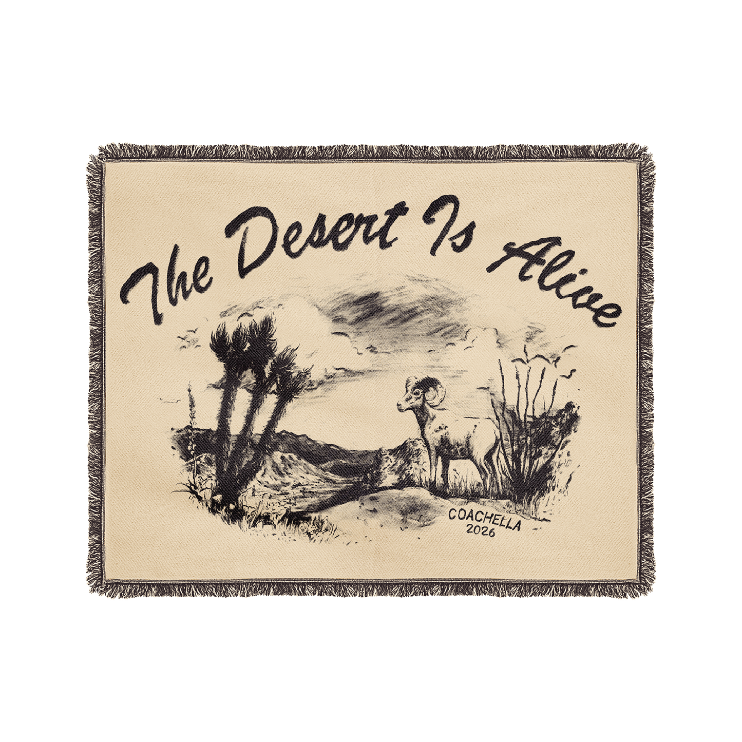 Desert Sketchbook Blanket – Coachella Store