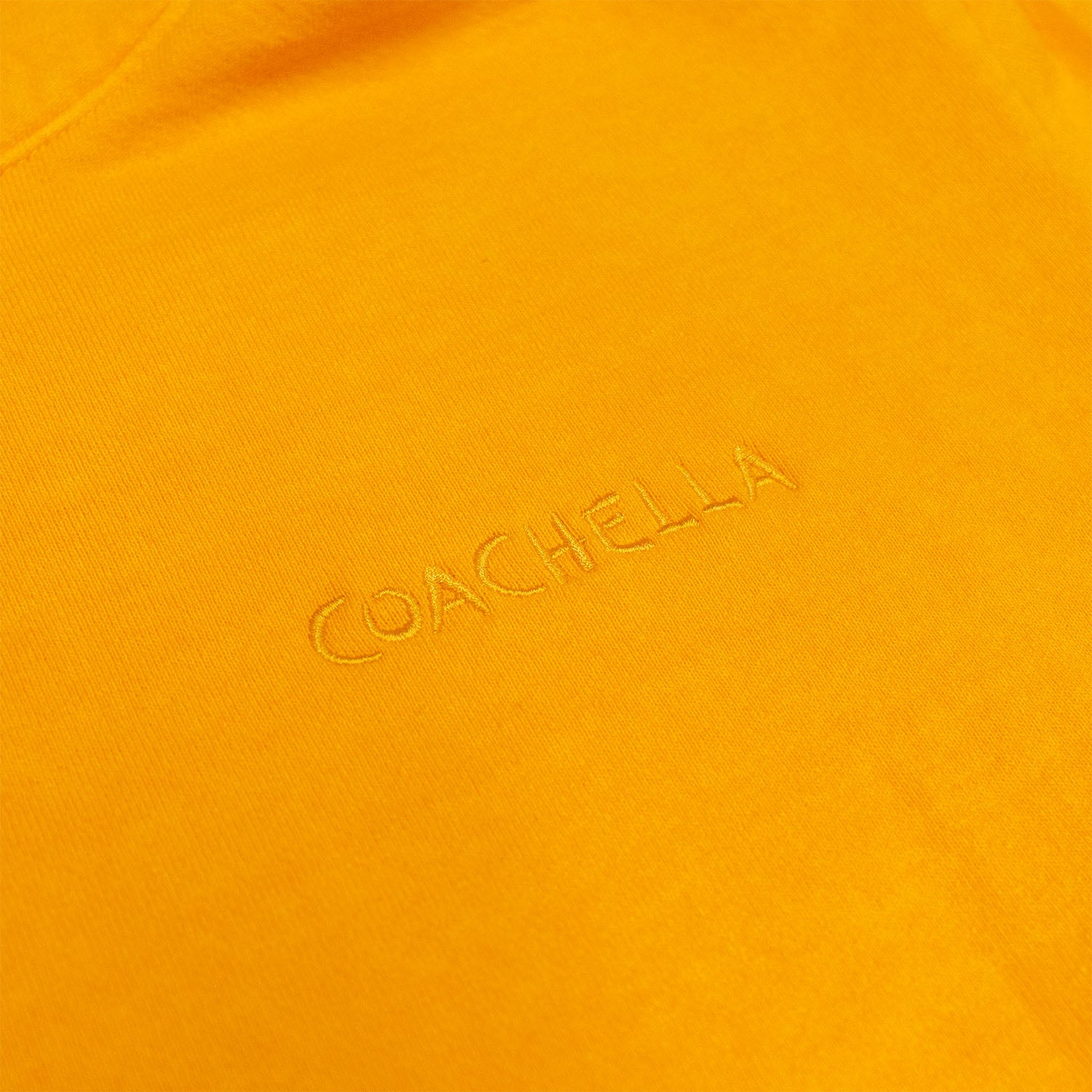 Coachella x Everybody.World 100% Hoodie - Orange